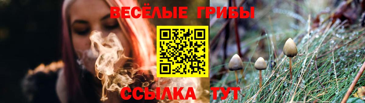 Псилоцибиновые грибы Cubensis Нижневартовск